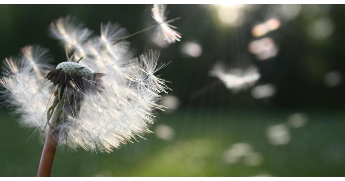 Private Allergy Testing UK An Overview